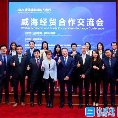 全部分类 第14页